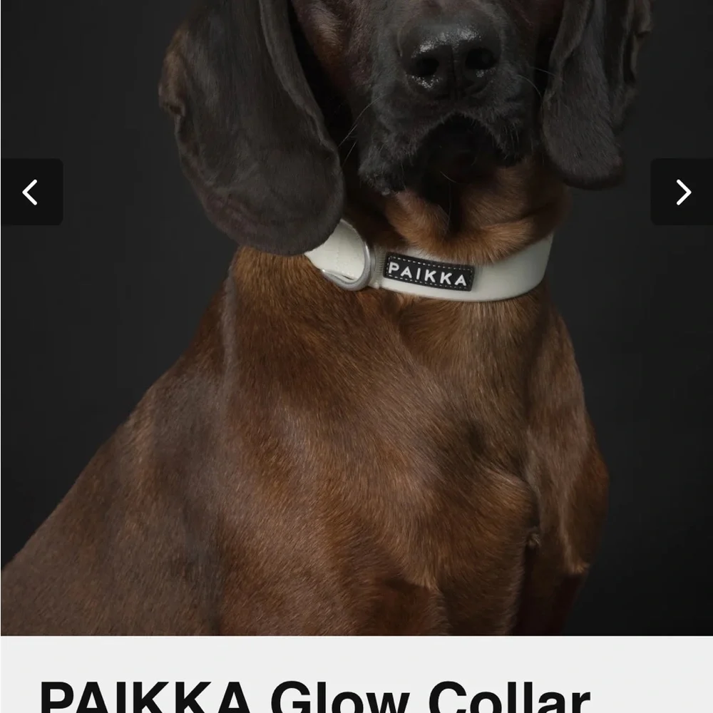 Pailkka Black and Blue glow in the dark collar. - Picture 2 of 4